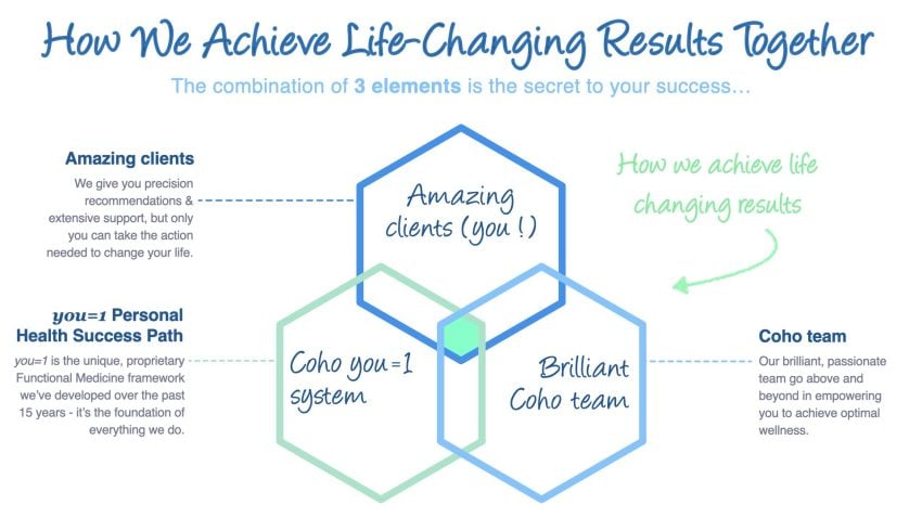 Coho Health 3 Elements Clients you=1 Team Coho Health 3 Elements graphic - Clients, you=1 system, Team